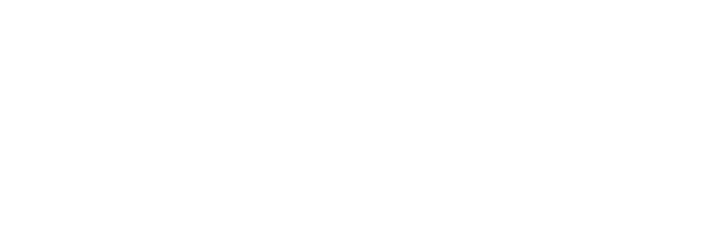 Logo QVS